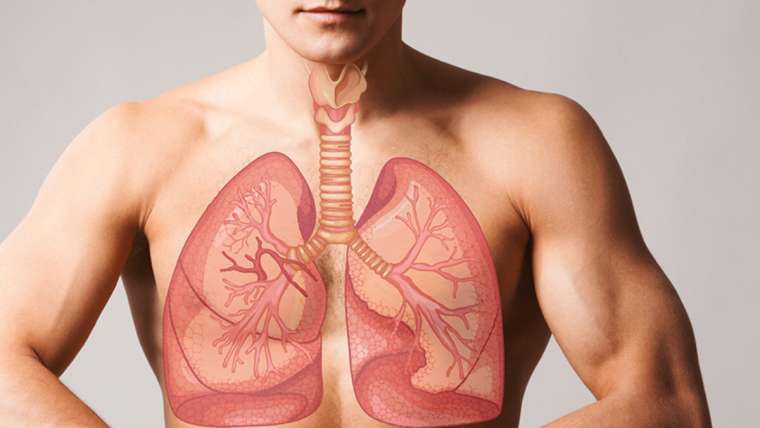 Critical Lung Disease 10 Critical Lung Disease