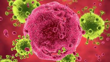 HIV 79 HIV