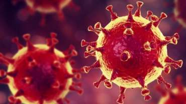 Sarcoidosis 83 Sarcoidosis