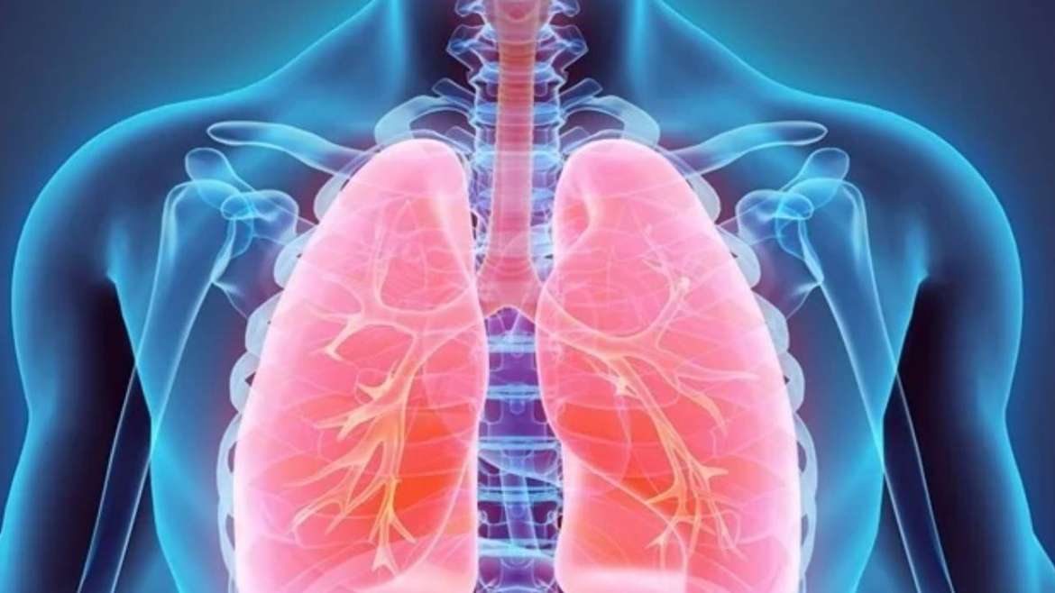 What are the differences between obstructive lung disease, restrictive lung disease, and normal condition?
